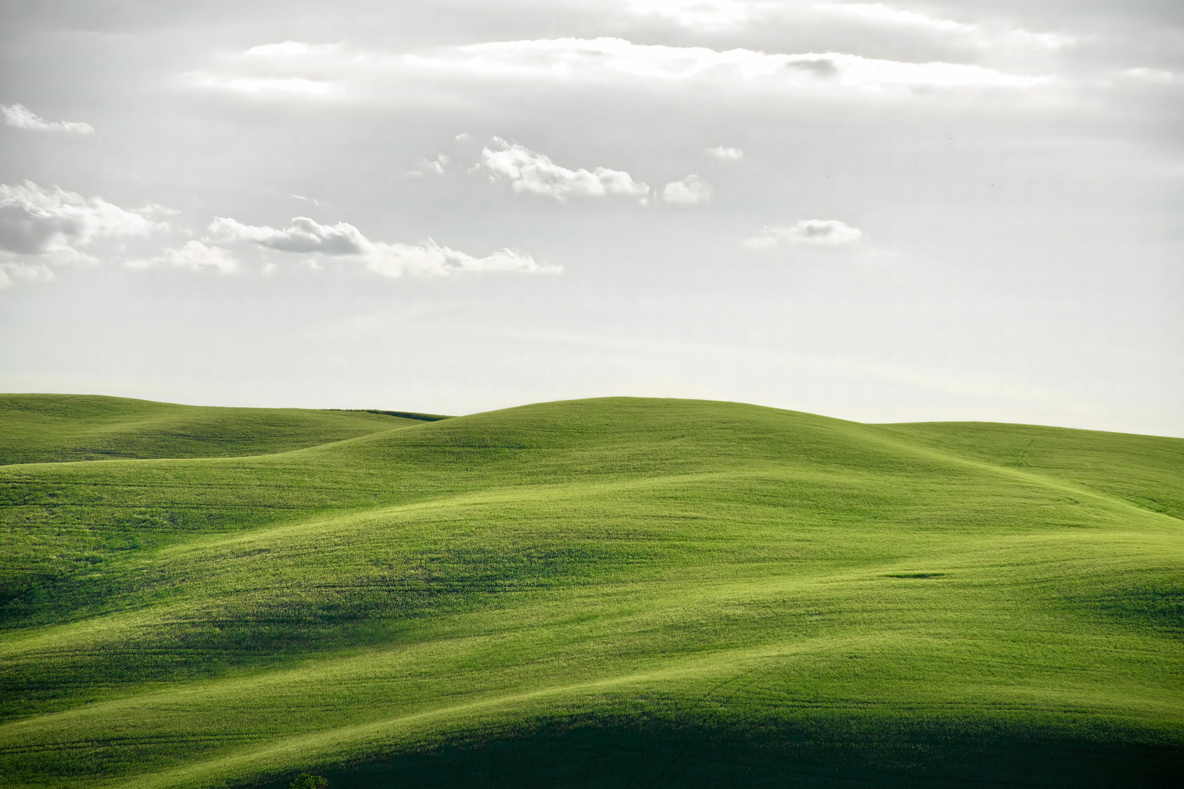 Soft green hills rolling under a wide, pale sky.